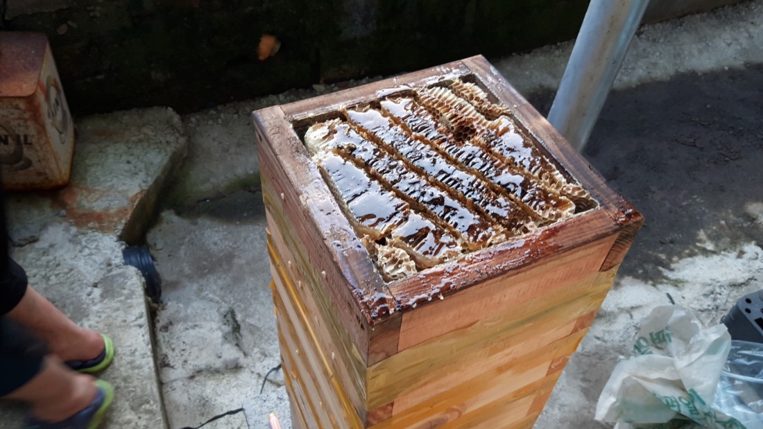 토종벌집꿀 됫박 1통